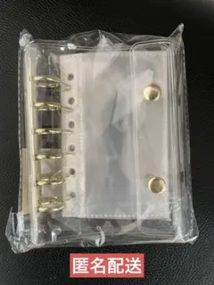 Item thumbnail for item 1fa4d2dd-bbe2-48d5-b496-60005950d2a5