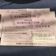 3枚 Bunkamura ザ・ミュージアム ル・シネマ 五島美術館 共通 招待券