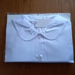 Item thumbnail for item 3a9cfa7d-6045-4306-b1a8-4e3ffa4453f5