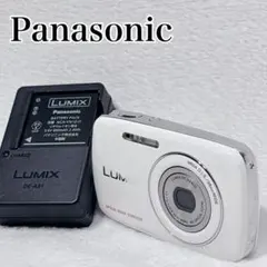 2026年最新】lumix s1の人気アイテム - メルカリ