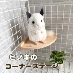 Item thumbnail for item 897438d5-ca58-4739-89fa-e48efc157df5