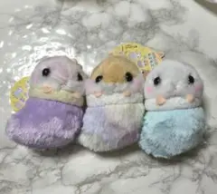 2025年最新】ころはむコロン くつ下の人気アイテム - メルカリ