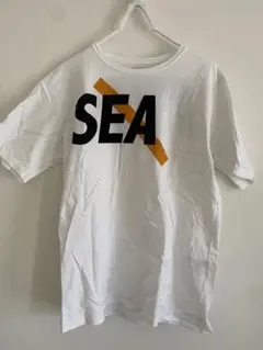 3日限定最終値下げ】windandsea CRACK-P-DYE S/STEE - メルカリ