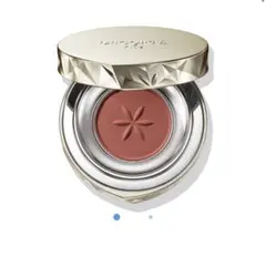 DECORTE AQ アイシャドウ 04