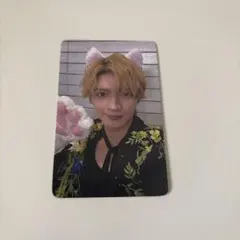 杢代和人 猫撫でてトレカ FC入会・継続特典