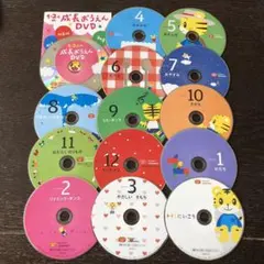 しまじろう ベネッセ こどもちゃれんじ ぷち DVD しまじろうDVDケース付き