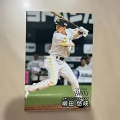 カルビー プロ野球チップスカード 柳田悠岐 福岡ソフトバンクホークス