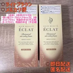 ヘアボーテ エクラ ボタニカル エアカラーフォームEX ライトブラウン＋おまけのサムネイル