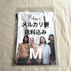 tシャツ ジャーナルスタンダード