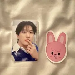 Straykids チャンビン　3/28 入場特典　ペンミ 落下物