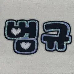 ボムギュ 범규トゥバ TXT ネームボード 反射 うちわ