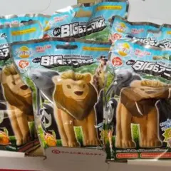 Item thumbnail for item 50dd0f86-405e-44c7-a365-0e51558cc3ff