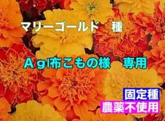 Ag|布こもの様 リクエスト 2点 おまとめ商品