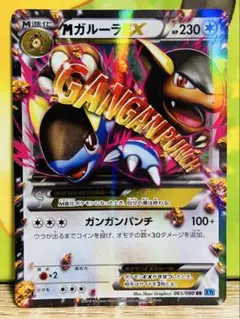 ポケモンカード　ポケカ　まとめ売り　XY RR EX BREAK 2026年最新】シリーズ：XY／XYBREAK ポケモンカードゲームの人気