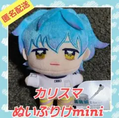 2025年最新】カリスマ ぬいぷりけ 湊大瀬の人気アイテム - メルカリ