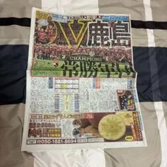 日刊スポーツ 2025年12月7日号のサムネイル