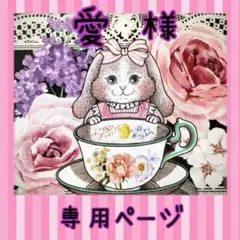 愛様✳️専用ページ