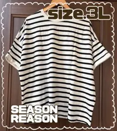 【期間限定sale】Ｔシャツのサムネイル