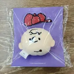 新品　未使用　韓国限定　ピーナッツスヌーピー　チャーリー・ブラウン ブローチ