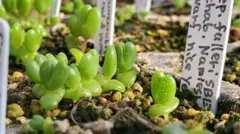 どんグリ様 リクエスト 5点 まとめ商品