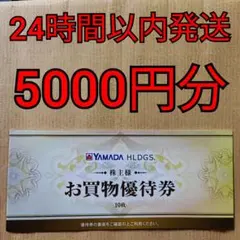 ヤマダ電機 お買物優待券 5000円分 ヤマダホールディングス 株主優待券