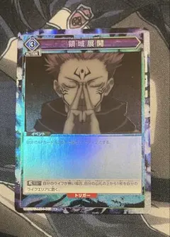 2025年最新】ユニオンアリーナ 領域展開の人気アイテム - メルカリ