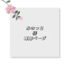 みのっち様専用ページ