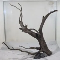 Korz様 リクエスト 2点 まとめ商品