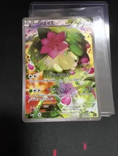 シェイミ XY BREAK コンセプトパック 幻・伝説ドリームキラ