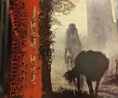 ブラックメタル Blood of kingu Sun in the～