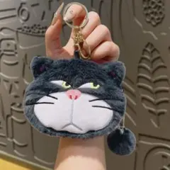【新品】✨ディズニー✨シンデレラ✨ルシファー✨キーホルダー✨小物入れ