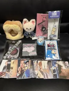 新品未使用✯アイエン✯フォクシニー✯straykids✯スキズ