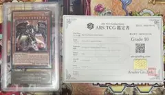 世界に2枚【ARS10】レッドアイズダークネスメタルドラゴン　フランス　レリーフ