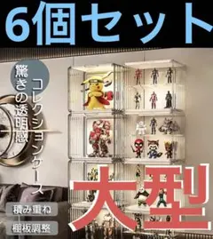 組み立て式　大型　コレクションケース　6点セット