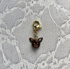 ちぃ様専用ページ꒰ ՞•ﻌ•՞ ꒱