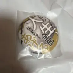 バンドリ！10周年 会場限定 缶バッジくじ ドロリス - メルカリ