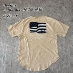 California刺繍 星条旗 Y2K 半袖Tシャツ ベージュ
