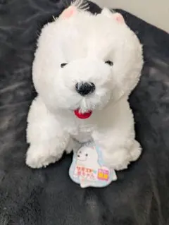 【新品】くったりサモエドの赤ちゃん コンパクトJBぬいぐるみ 約20cmのサムネイル
