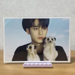 d'festa ポストカード　seventeen ミンギュ