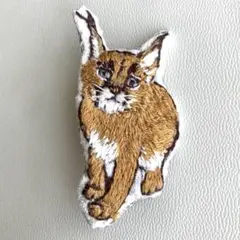 ハンドメイド刺繍ブローチ⭐︎カラカル