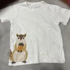 リス イラスト Tシャツ ホワイト
