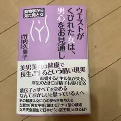 ウエストがくびれた女は、男心をお見通し