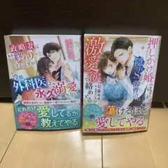 恋愛小説2冊セット　ベリーズ文庫(12月新刊)