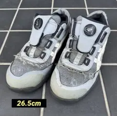 Item thumbnail for item a1fec6a9-45c0-460b-b259-7dd2279cc321