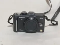 2026年最新】lumix GF1の人気アイテム - メルカリ