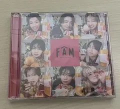 FAM 通常盤