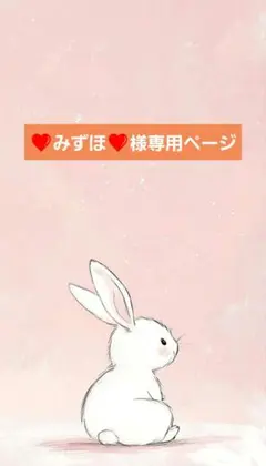❤みずほ❤様 リクエスト 10点 まとめ商品