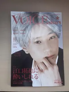VOICE stars Vol.17
