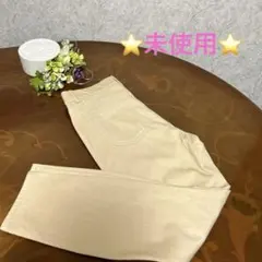 ユニクロストレッチアンクルパンツスキニー