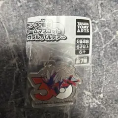 ポケモン 30周年 メタルチャームマスコット コライドン